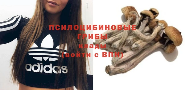 дурь Алзамай