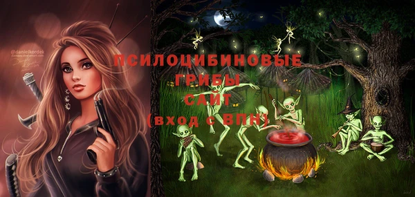 дурь Алзамай