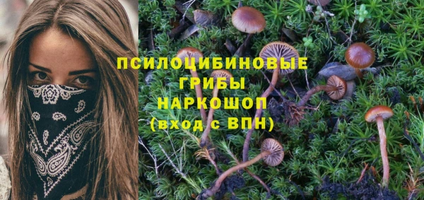 а пвп мука Абаза