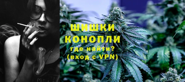 дурь Алзамай